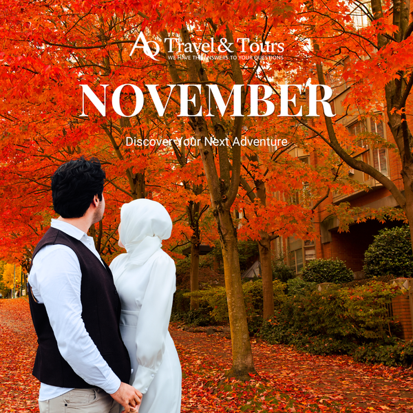 Month: November